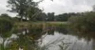 La Nature au  Balcon
