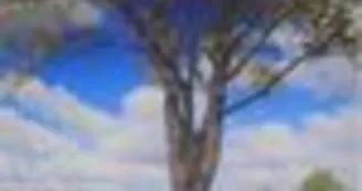 La Nature au  Balcon