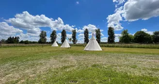 Tipis la Mésange, le moineau ou la Bergeronnette