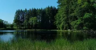 Les Etangs de Montrollet