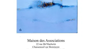 exposition Denis MOUSSET