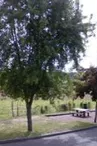 Aire de Pique-Nique de Chabrac